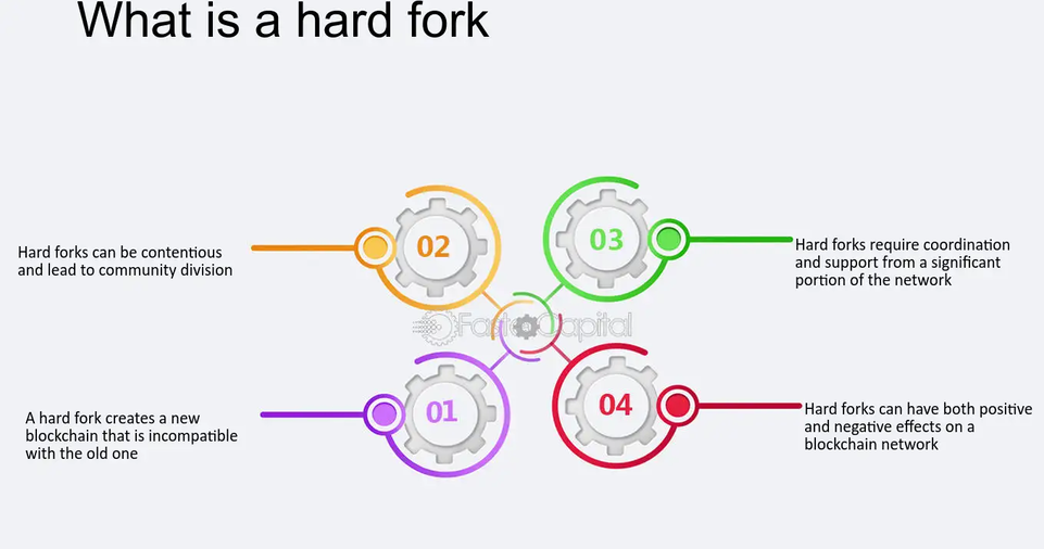 Studies of Notable Forks
