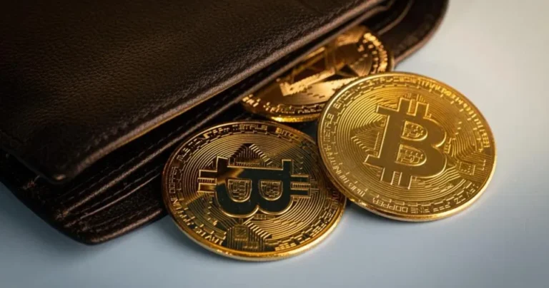 How to Create a Secure Crypto Wallet?